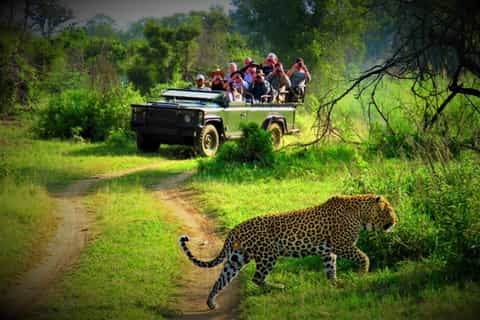 Chitwan